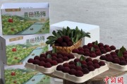 问卦求签高速赋能产业升级：一条“杨梅路”的致富密码